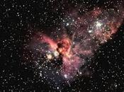 Solo belleza infinita