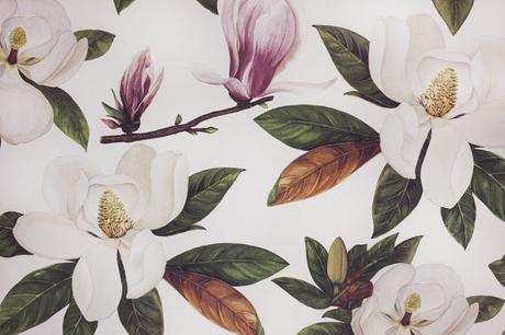 Carpeta Magnolia XL