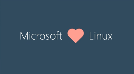 Microsoft Loves Linux Foto: arstechnica.com