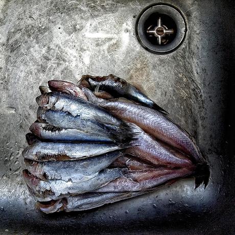 Adolfo Enríquez - FISH. Premios LUX 2016. Categoría Bodegón