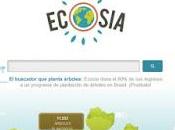 Ecosia buscador ecológico internet planta árbol cada usted