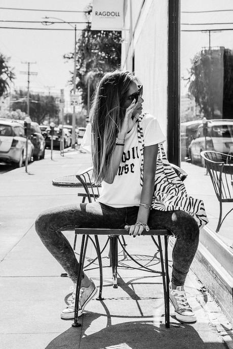 #ImaRagdoll Ragdoll-LA.com-imaragdoll-ragdollswelove-Marta_Carriedo-3274-2