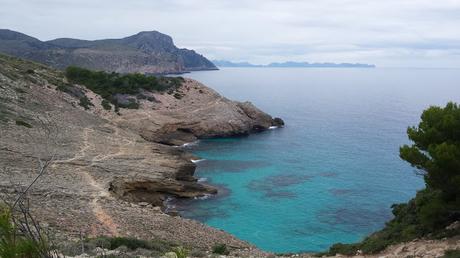 Otro chute de energía con una excursión por Mallorca. Ruta Cala Torta - Aubarca