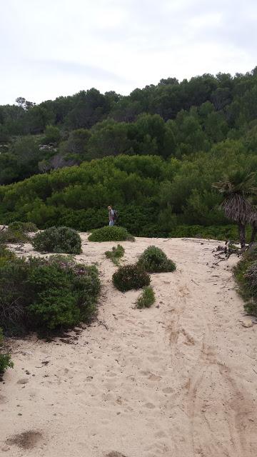 Otro chute de energía con una excursión por Mallorca. Ruta Cala Torta - Aubarca