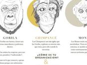 andes ramas… ¿Gorila, mono chimpancé?