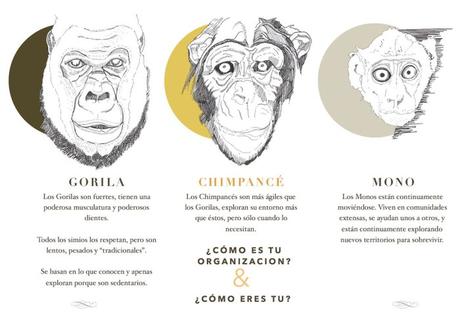 No te andes por las ramas…  ¿Gorila, mono o chimpancé?