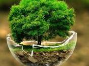 tierra defiende contra cambio climático