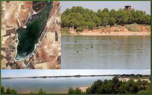 Ruta por los Humedales de la Mancha Toledana (I)