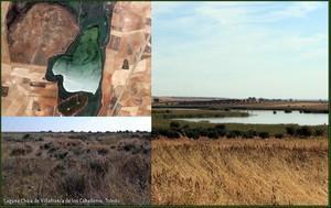 Ruta por los Humedales de la Mancha Toledana (I)