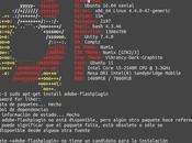 Como instalar facil Adobe Flash plugin Ubuntu