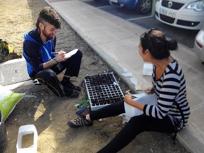 Primeras jornadas. Preparación del suelo y siembra