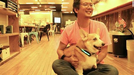 Futuro de las inversiones, Google, Apple y Samsung