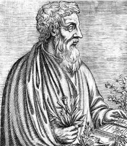 Dioscorides, médico y farmacólogo griego. Grabado.