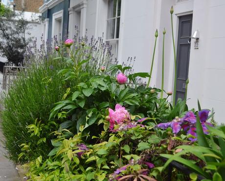 Primavera en Notting Hill {Londres}