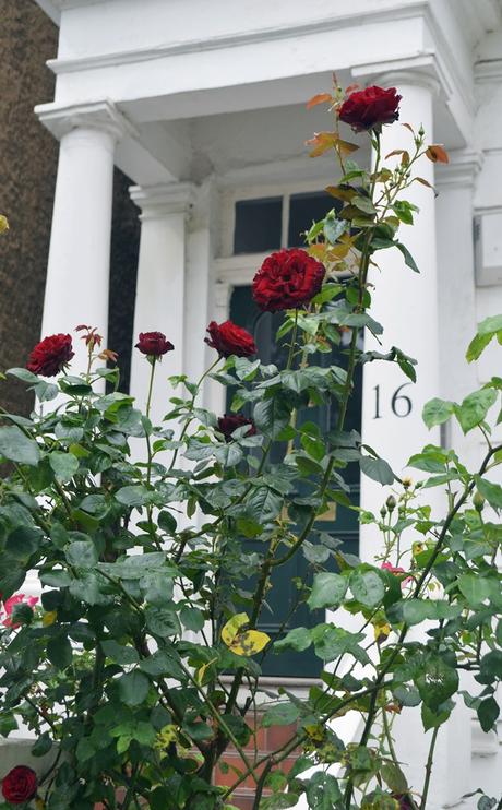 Primavera en Notting Hill {Londres}