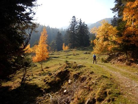 Ruta a los Prats de Clavera y al Bosc de Bonabé desde la Borda de Perosa