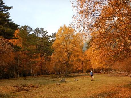 Ruta a los Prats de Clavera y al Bosc de Bonabé desde la Borda de Perosa