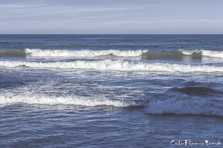 Las olas del mar llegando a la costa.