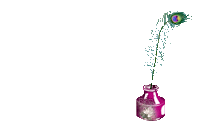 Gorro para Snowboard