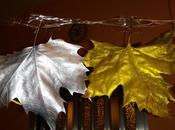 Golden silver leaves