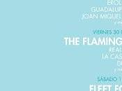 Vida Festival 2017: Nuevas Confirmaciones