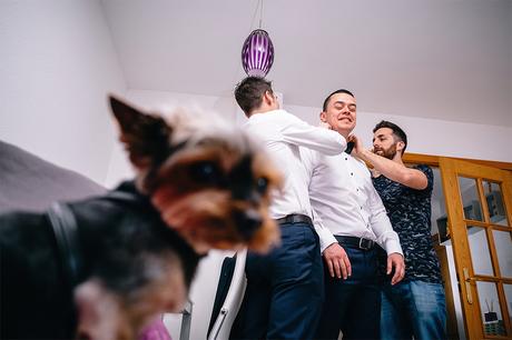 perro-casa-novio-fotografia-diferente-zaragoza