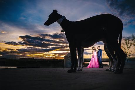 pareja-entre-galgos-fotografia-diferente-zaragoza
