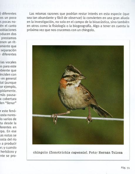 Libros del centenario de Aves Argentinas