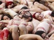 Animalistas equivocadas actuaciones favor animales