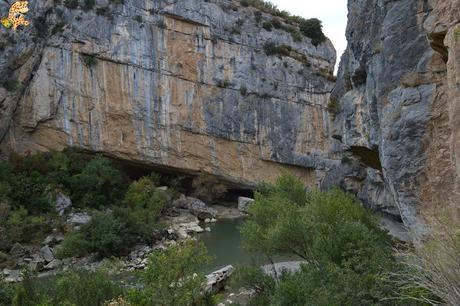 Foces de Navarra: Foz de Lumbier y Foz de Arbayún