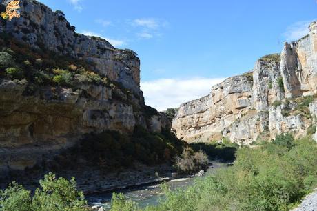 Foces de Navarra: Foz de Lumbier y Foz de Arbayún