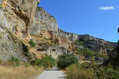 Foces de Navarra: Foz de Lumbier y Foz de Arbayún