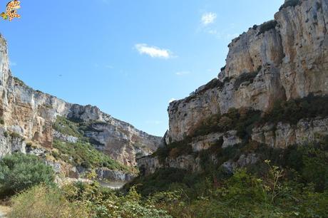 Foces de Navarra: Foz de Lumbier y Foz de Arbayún