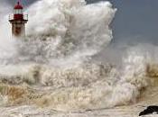 abrigaron, prisa, palomas...