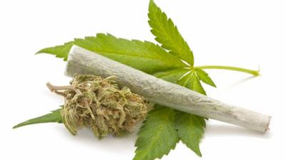 ¿La marihuana afecta al cerebro y al corazón?