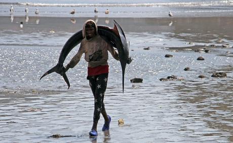 Resumen de Prensa] Lo mejor de la semana del 14 al 20 de noviembre de 2016