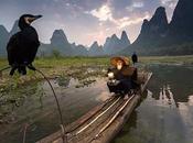 Amigo aves