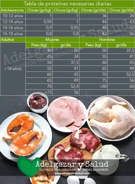 proteinas necesarias para adelgazar