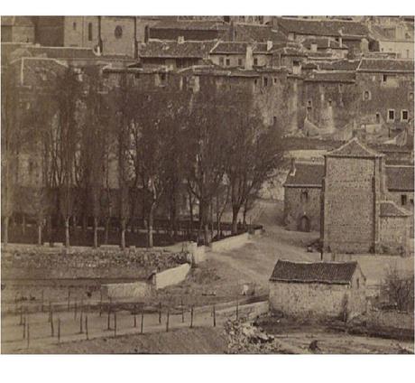 Un Olmo, Mil Historias