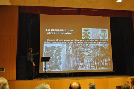 Un Olmo, Mil Historias