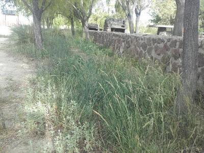 Centro Recreativo Kumelkayen (Peri-Lago) 100 % Natural