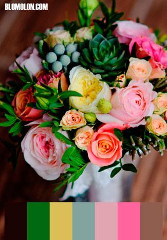 Paletas de Colores 8