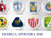 Fechas horario partidos Cuartos Final liguilla Apertura 2016
