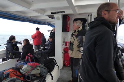 ALLENDE LOS MARES (12/11/2016) CON GORKA OCIO