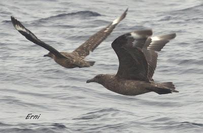 ALLENDE LOS MARES (12/11/2016) CON GORKA OCIO