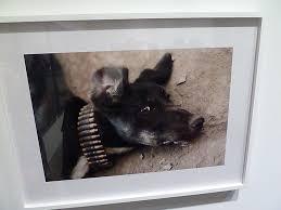 Which way is the front line from here?