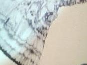 Pérez Cañamares: regreso nosotros (1):