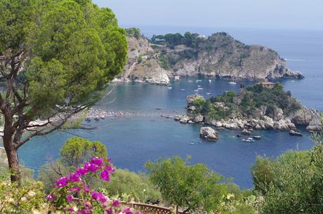 DAIQUIRI DE MORAS #Congelandoelverano