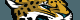 Links y Calendario Temporada NFL 2016 – Semana 12