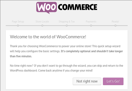 Primeras decisiones para crear tu tienda online con WooCommerce